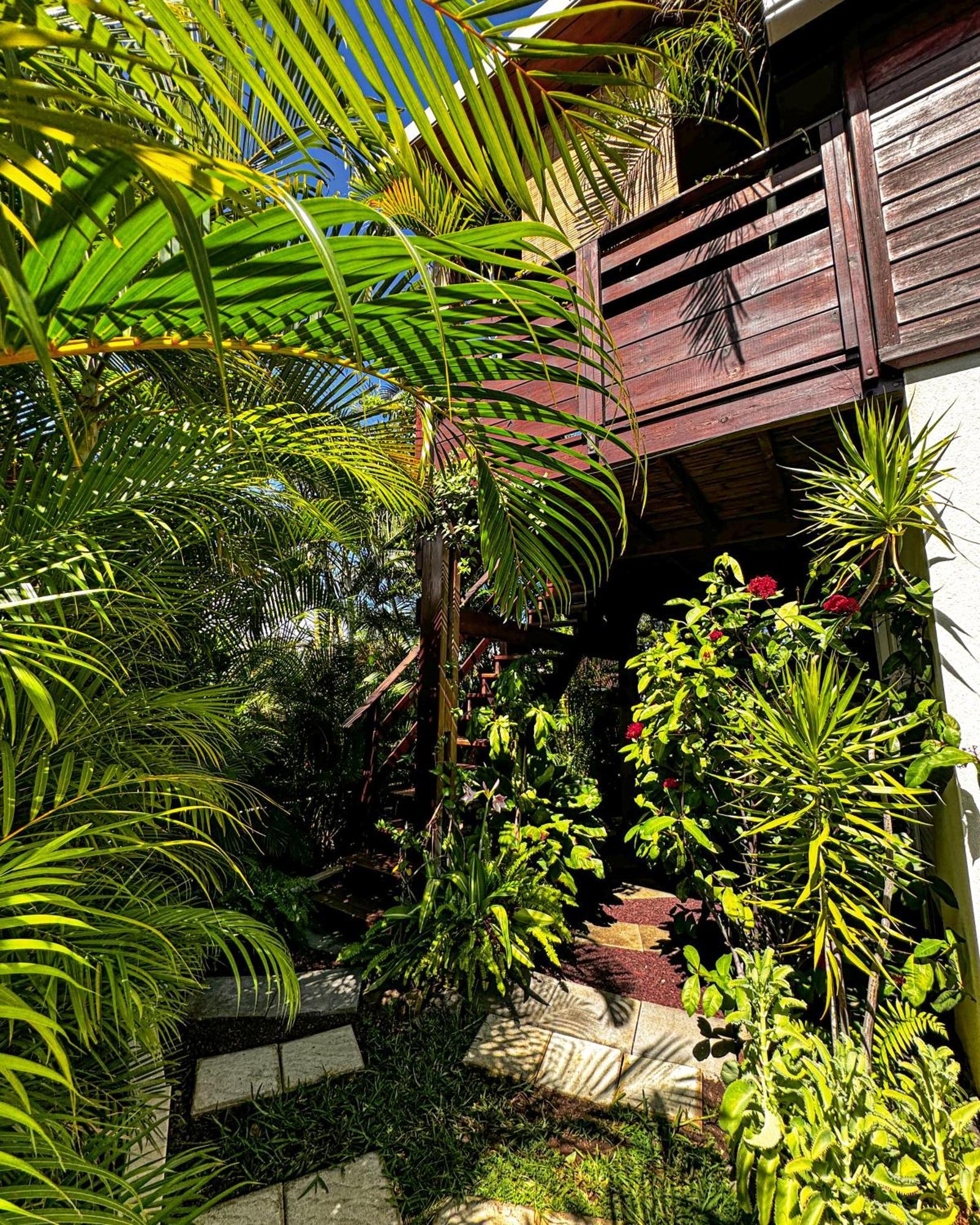 P'Ti Coin Zen Apartment Saint-Gilles Les Bains Exterior photo